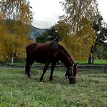 Gerendaház Ozerniy *