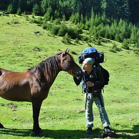 Ozerniy * Lazeshchyna