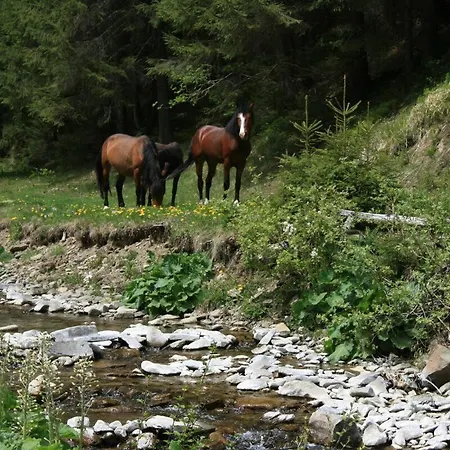 Ozerniy Lodge Lazeshchyna