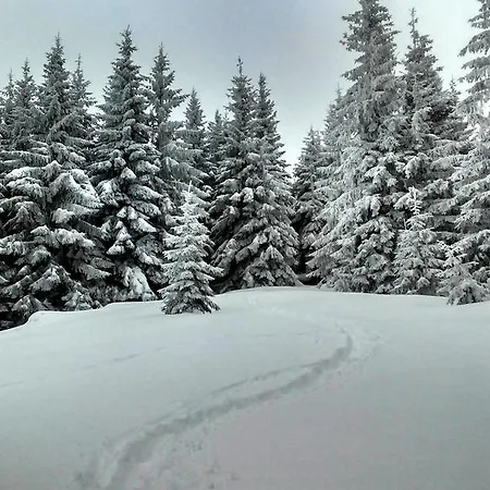 Ozerniy *