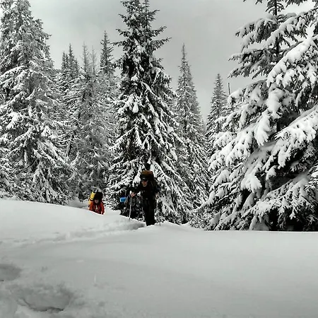 Ozerniy * Lazeshchyna