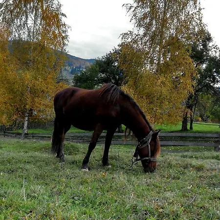 Lodge Ozerniy *