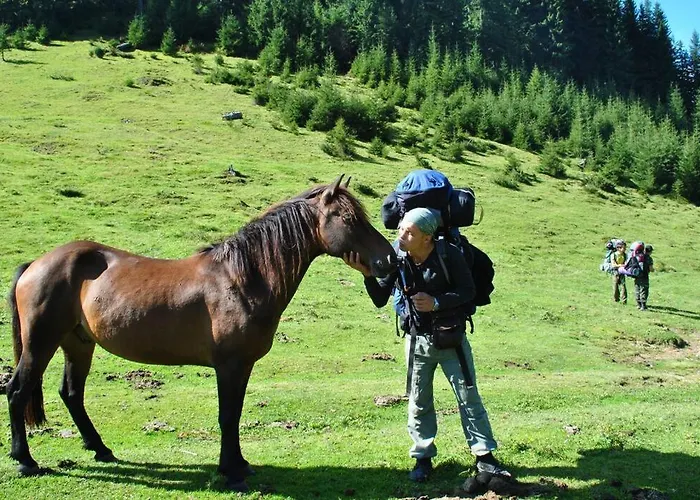 Ozerniy * Lazeshchyna