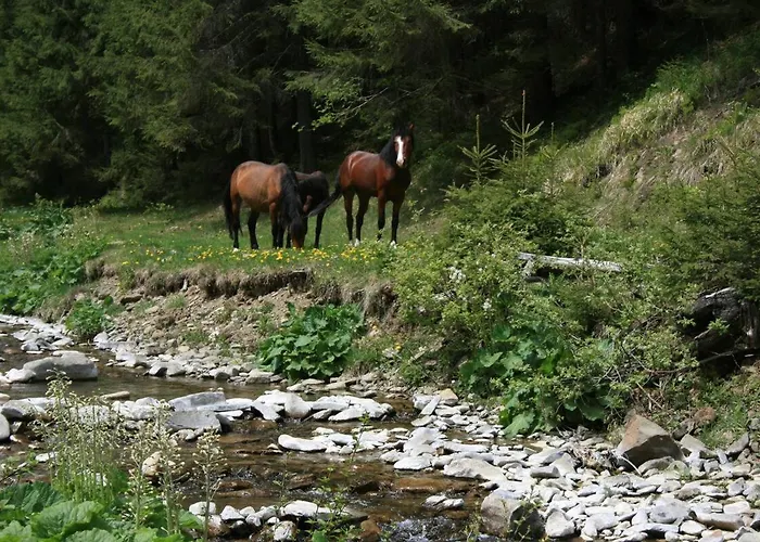 Ozerniy Alojamento de Turismo Selvagem Lazeshchyna