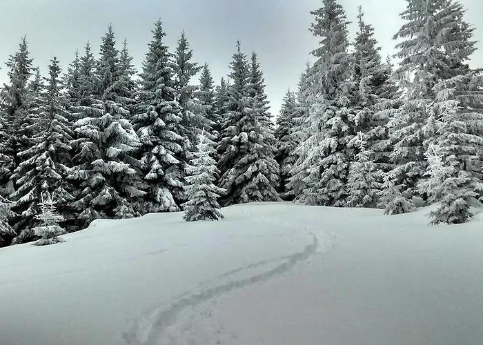 Ozerniy *