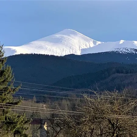 Ozerniy