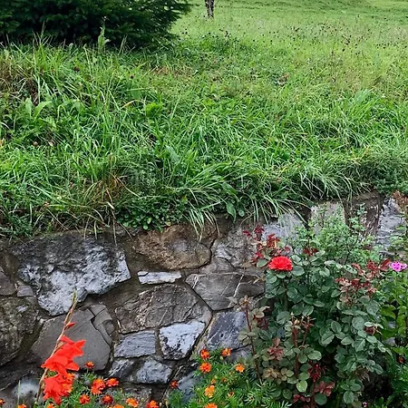 Ozerniy *